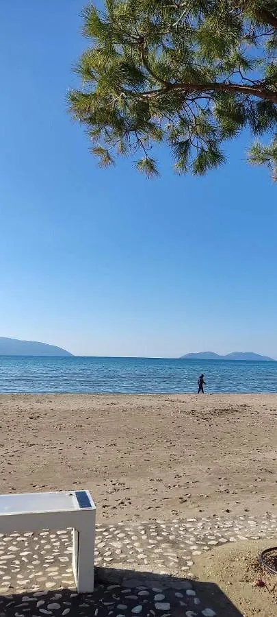 Summer Room Vlorë